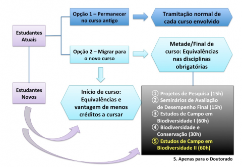 Fluxograma de migração - PPGBio Fluxograma de migração - PPGBio
